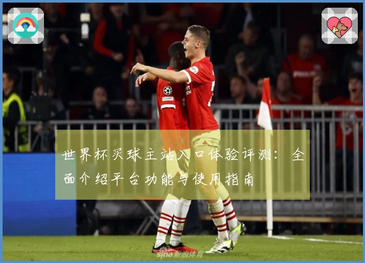 世界杯买球主站入口体验评测：全面介绍平台功能与使用指南