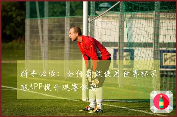 新手必读：如何有效使用世界杯买球APP提升观赛体验