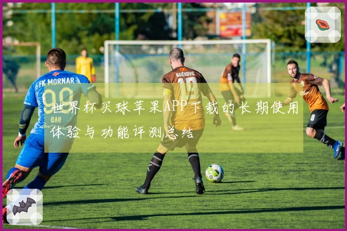世界杯买球苹果APP下载的长期使用体验与功能评测总结