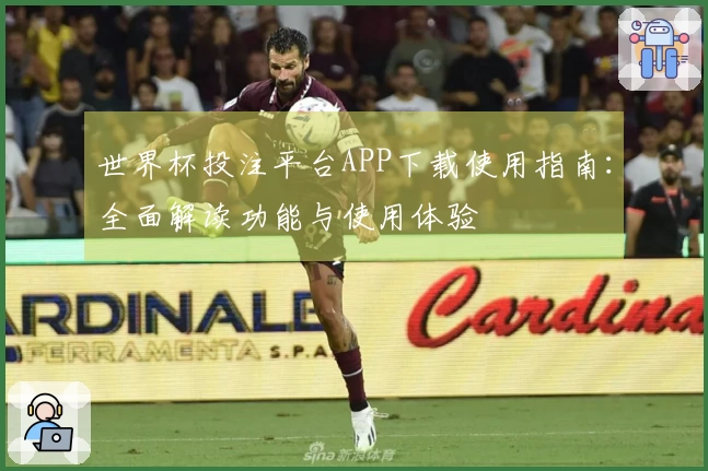 世界杯投注平台APP下载使用指南：全面解读功能与使用体验