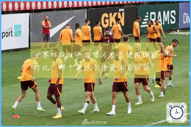 世界杯投注平台官方首页使用体验对比：哪个更适合热爱体育的你？