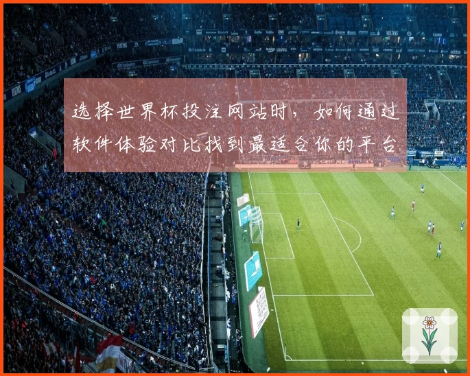 选择世界杯投注网站时,如何通过软件体验对比找到最适合你的平台?