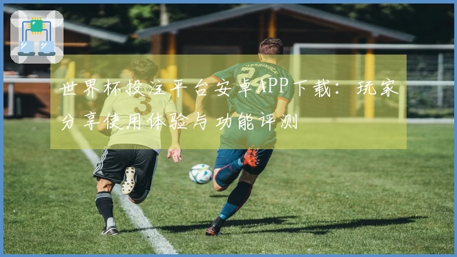 世界杯投注平台安卓APP下载：玩家分享使用体验与功能评测