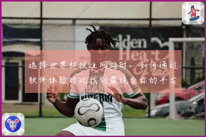 选择世界杯投注网站时，如何通过软件体验对比找到最适合你的平台？