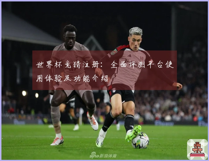 世界杯竞猜注册：全面评测平台使用体验及功能介绍