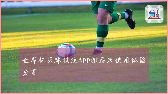 世界杯买球投注App推荐及使用体验分享