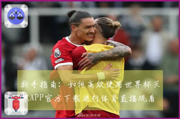 新手指南：如何高效使用世界杯买球APP官方下载进行体育直播观看